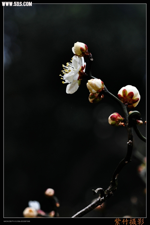 DSC_0559.jpg