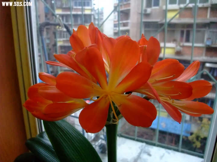 DSCF1564.JPG