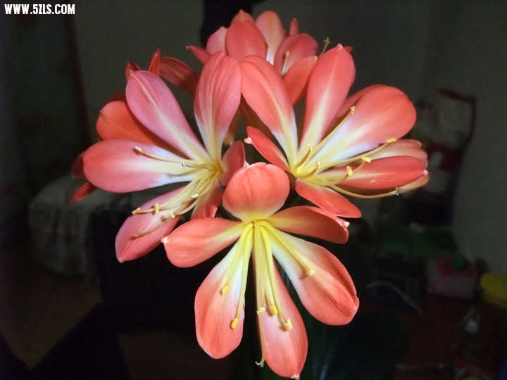 DSCF1557.JPG
