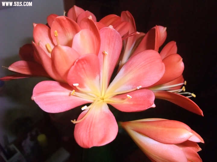 DSCF1559.JPG
