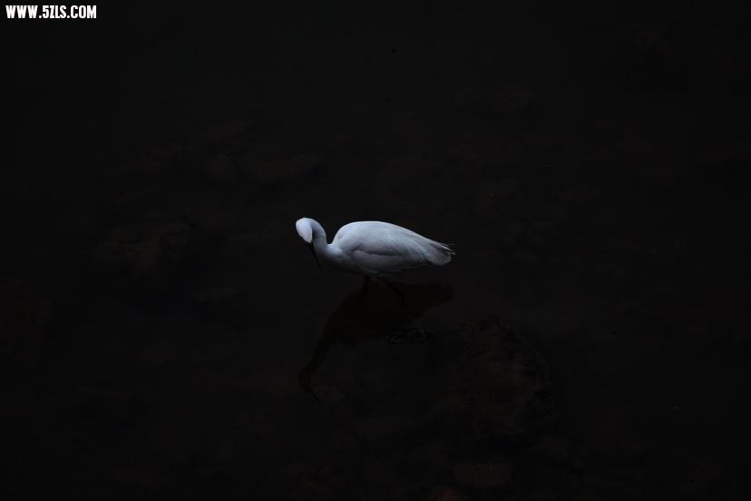 ͨ 117.jpg