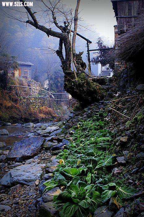 nEO_IMG__MG_0252.jpg