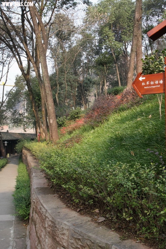 ͨ 215.jpg