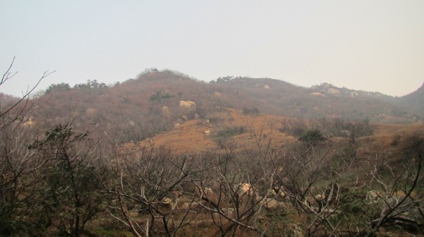 conew_img_4096.jpg