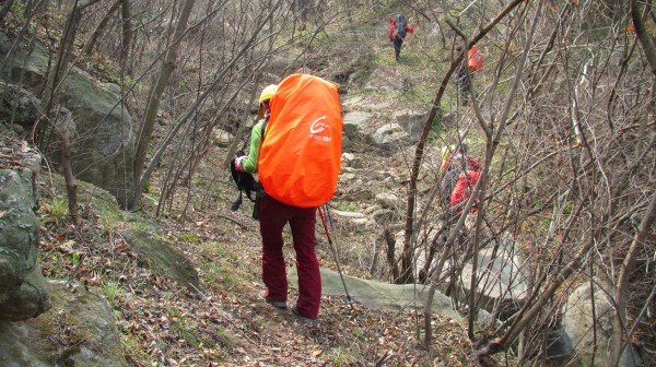 conew_img_4258.jpg