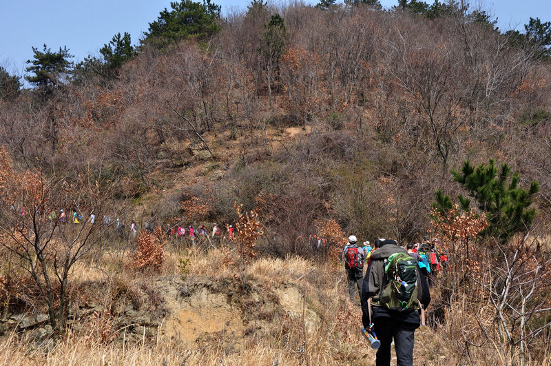 DSC_0020a.jpg