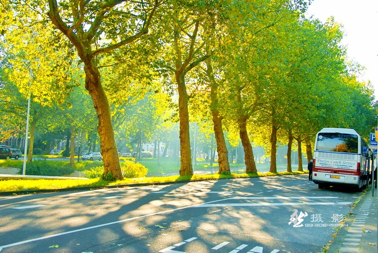 20101008-0958-s.jpg