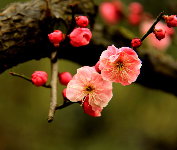 nEO_IMG_÷2012 038.jpg