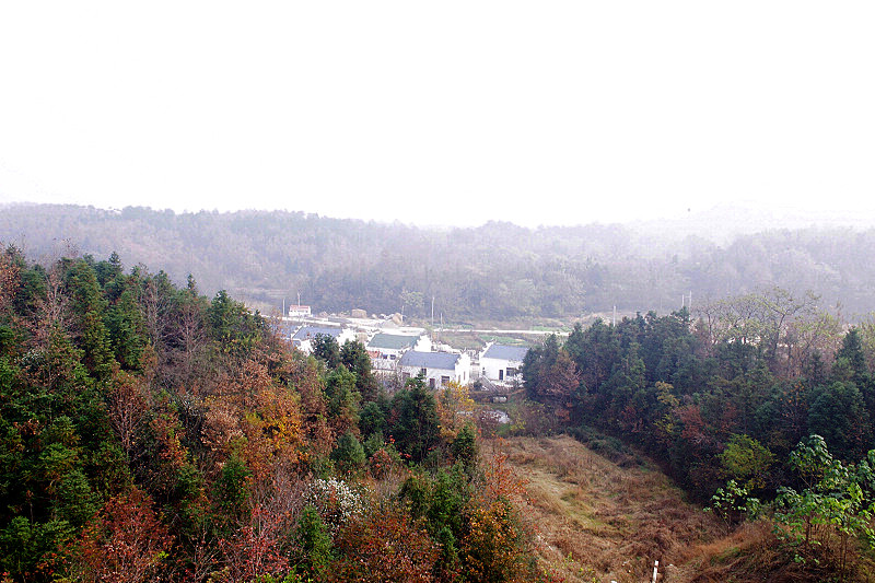 IMGP0898_.jpg