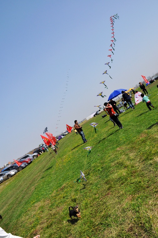 DSC_0126.jpg