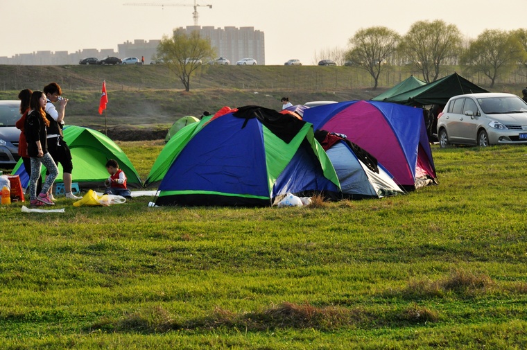 DSC_0202.jpg