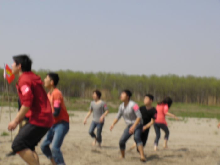 SANY0360.jpg