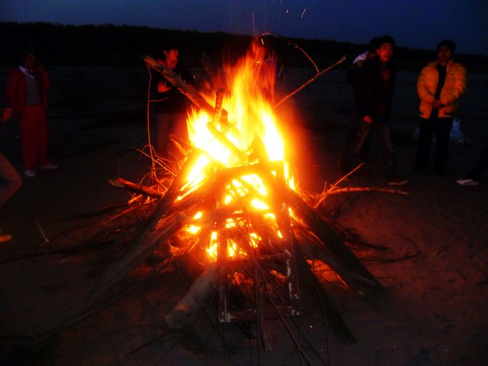 P1000864.jpg