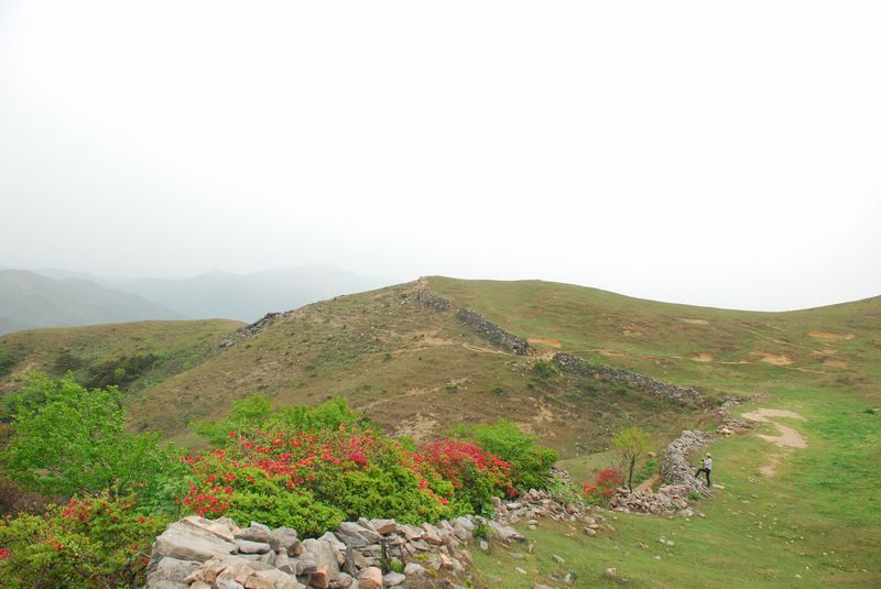 20123921154497107.jpg