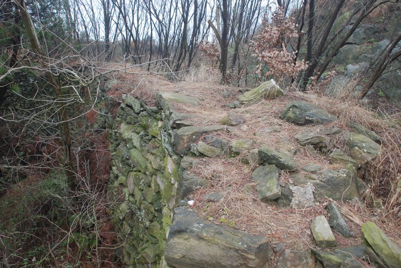 201231897372818.jpg
