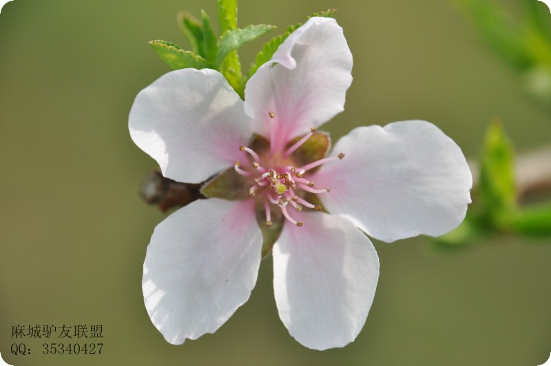 conew_dsc_0076.jpg