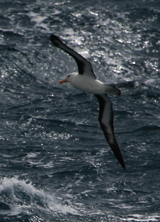 20111271113854778.jpg
