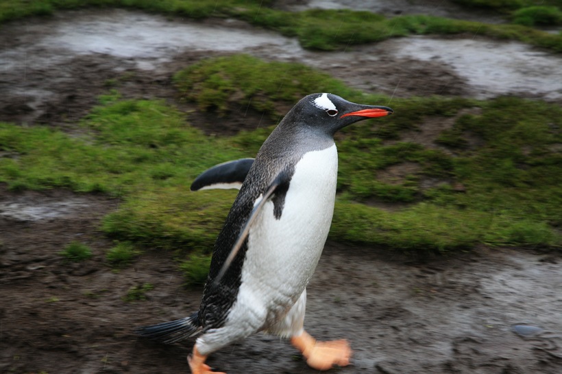 20111292234544198.jpg