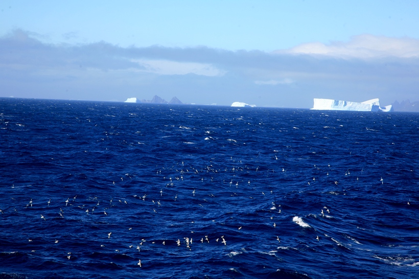 2011211336934416.jpg