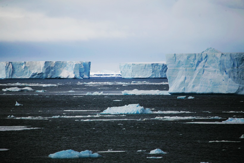 201121300542405.jpg