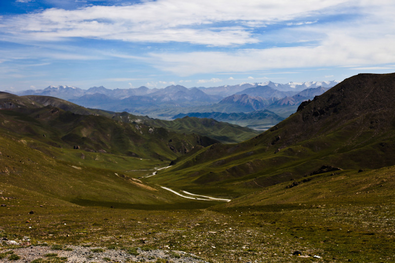 IMG_0568-3.jpg
