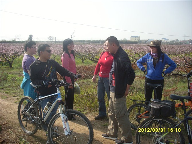 psb112.jpg