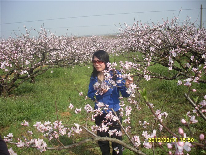 psb13.jpg