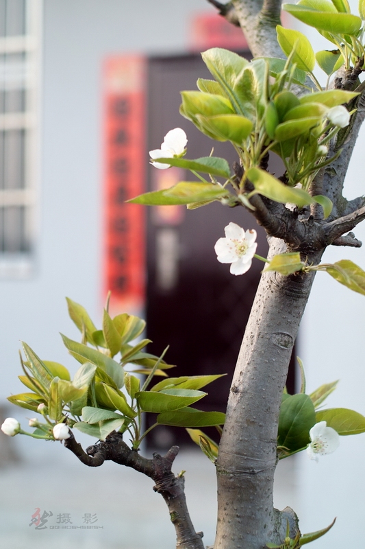 20120404.ϼ..绨_004-s.jpg