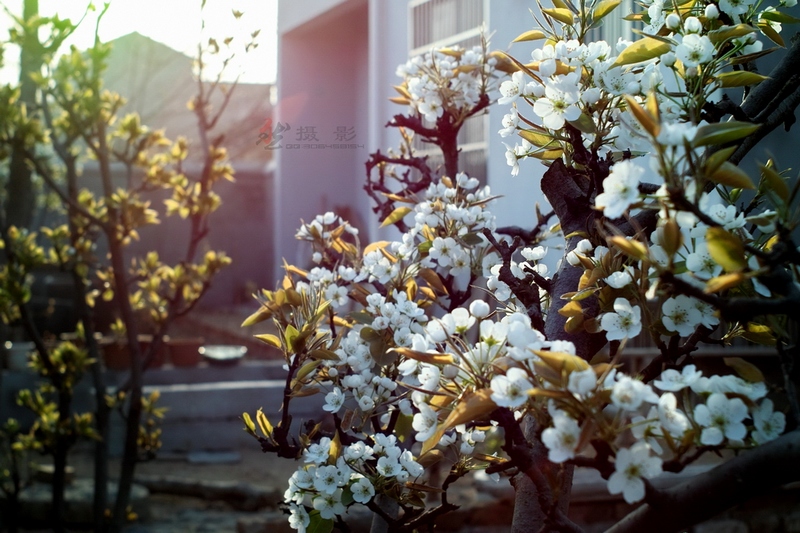 20120404.ϼ..绨_015-s.jpg
