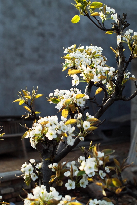20120404.ϼ..绨_028-s.jpg