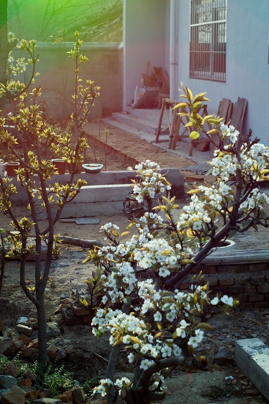 20120404.ϼ..绨_029-s.jpg