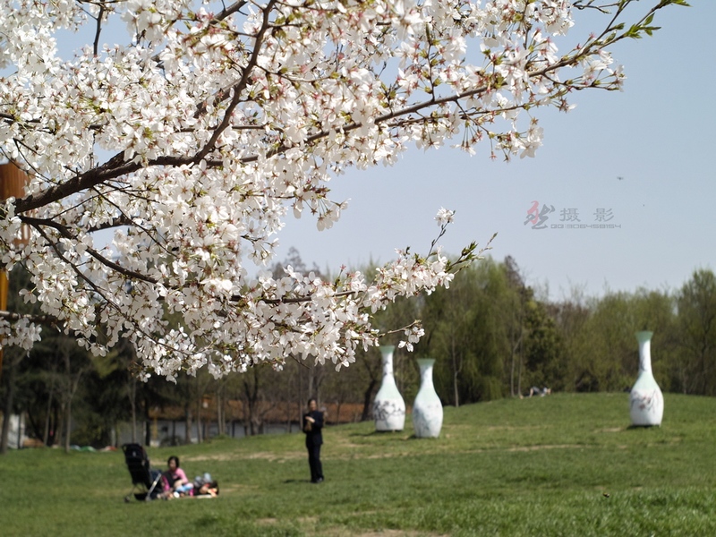 20120401.Ź԰.ӣ_020-s.jpg