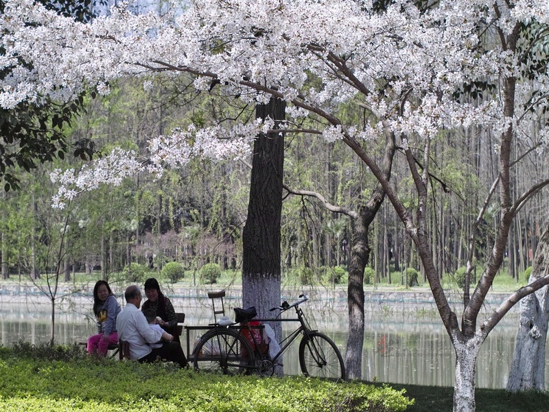 20120401.Ź԰.ӣ_055-s.jpg