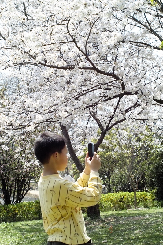 20120401.Ź԰.ӣ_070-s.jpg