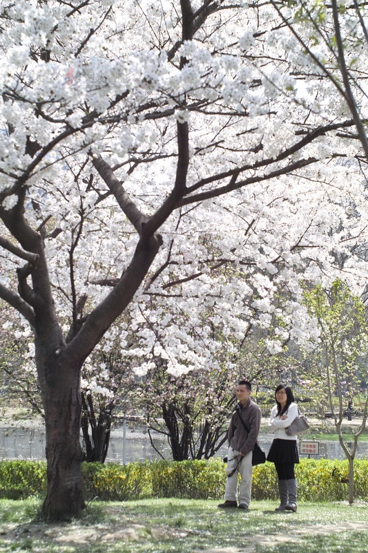 20120401.Ź԰.ӣ_082-s.jpg