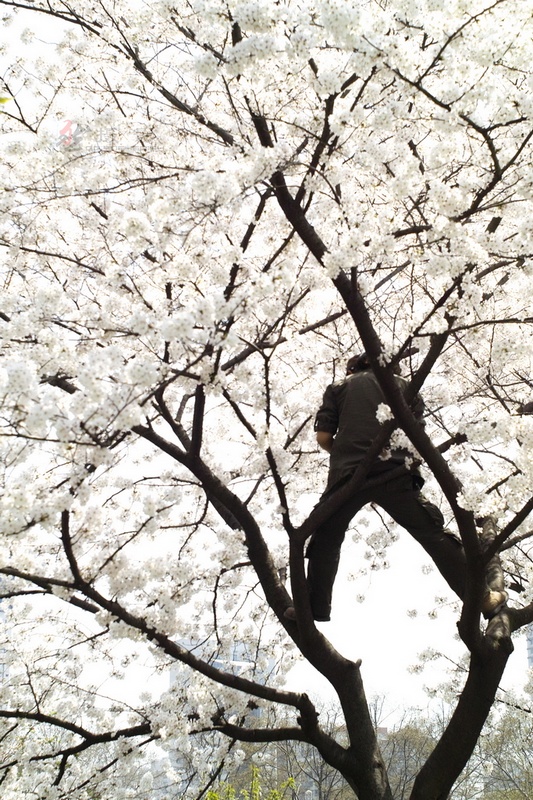20120401.Ź԰.ӣ_086-s.jpg