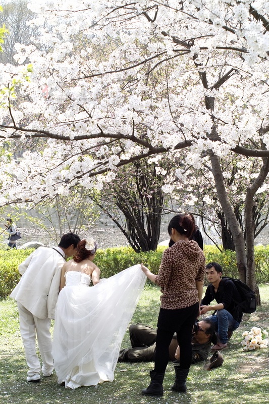 20120401.Ź԰.ӣ_101-s.jpg