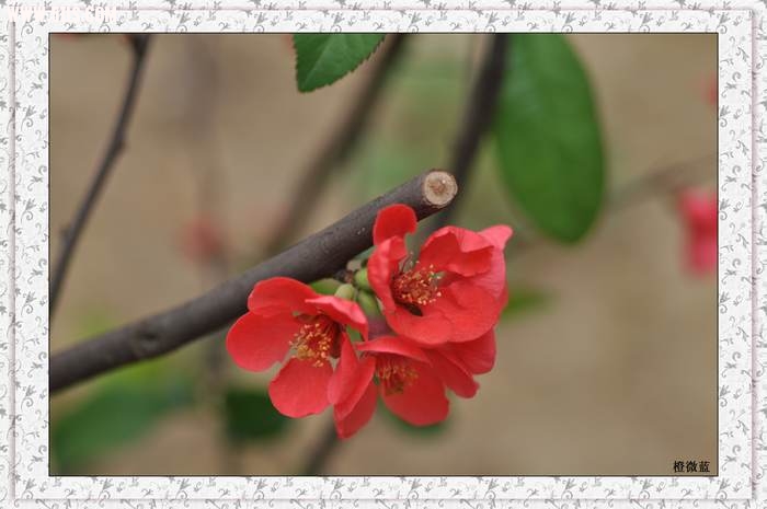 DSC_3034.jpg