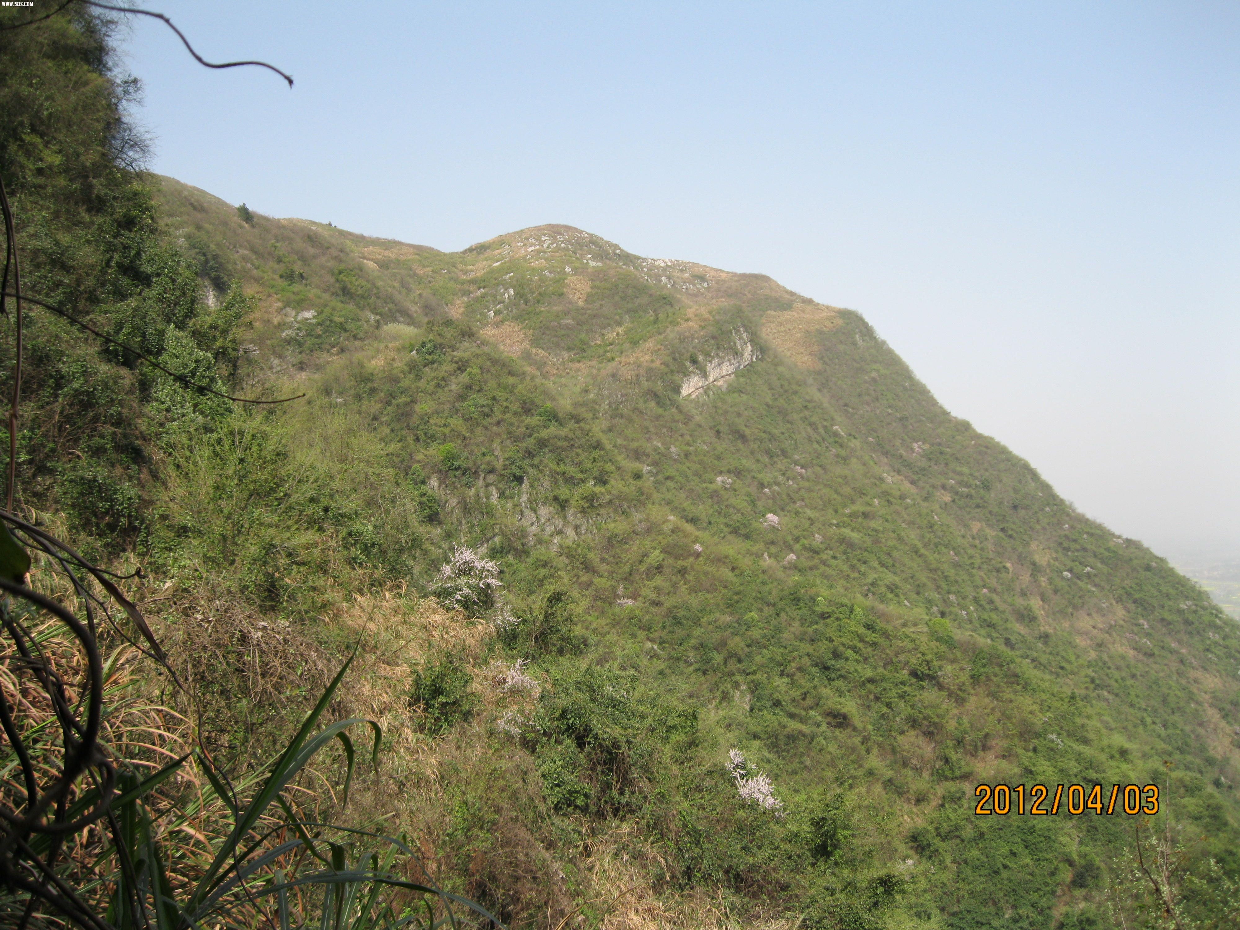 IMG_5702.JPG