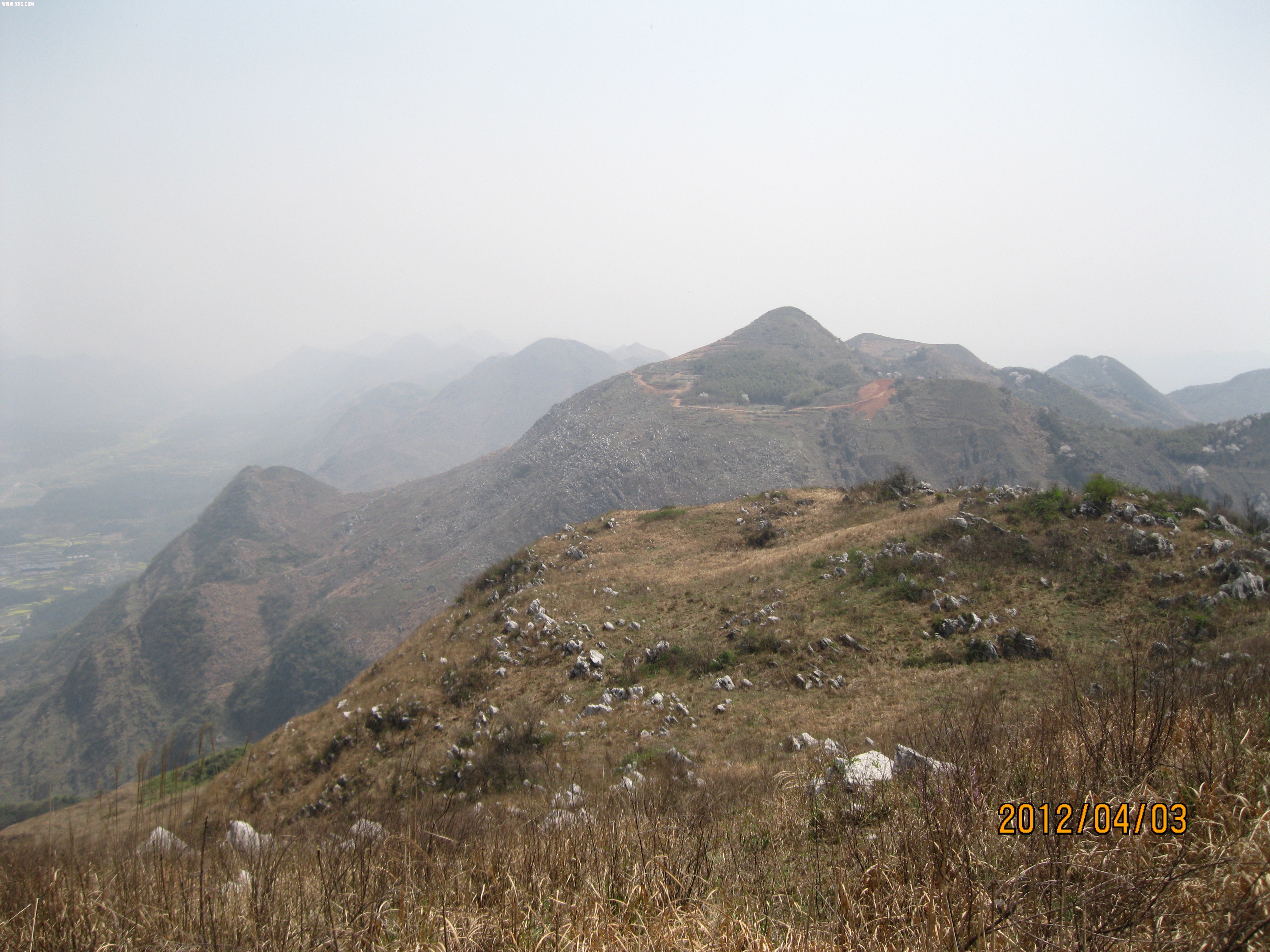 IMG_5781.JPG