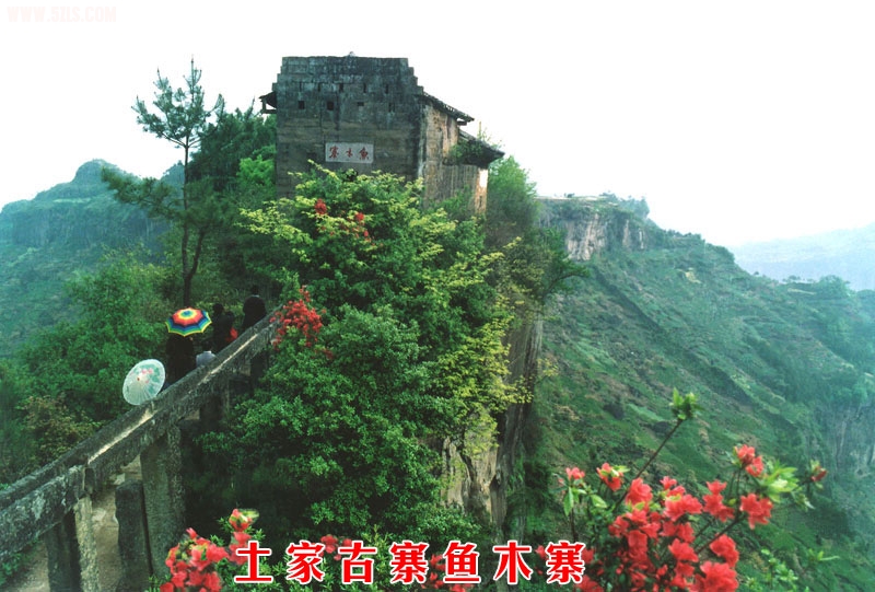 2010223134813742.jpg