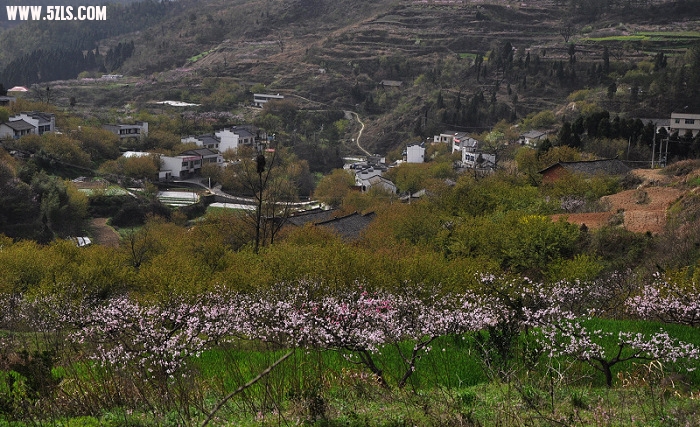 DSC_0169.jpg