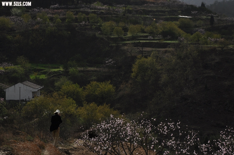 DSC_0176.jpg
