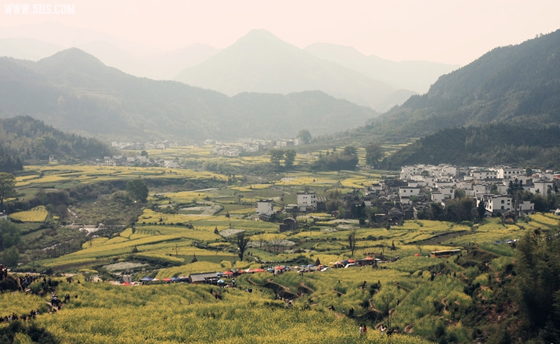 江岭梯田