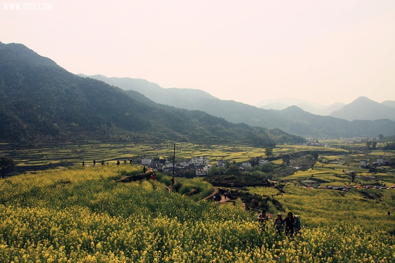 江岭梯田