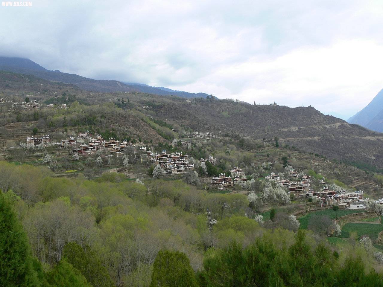P1120410.jpg