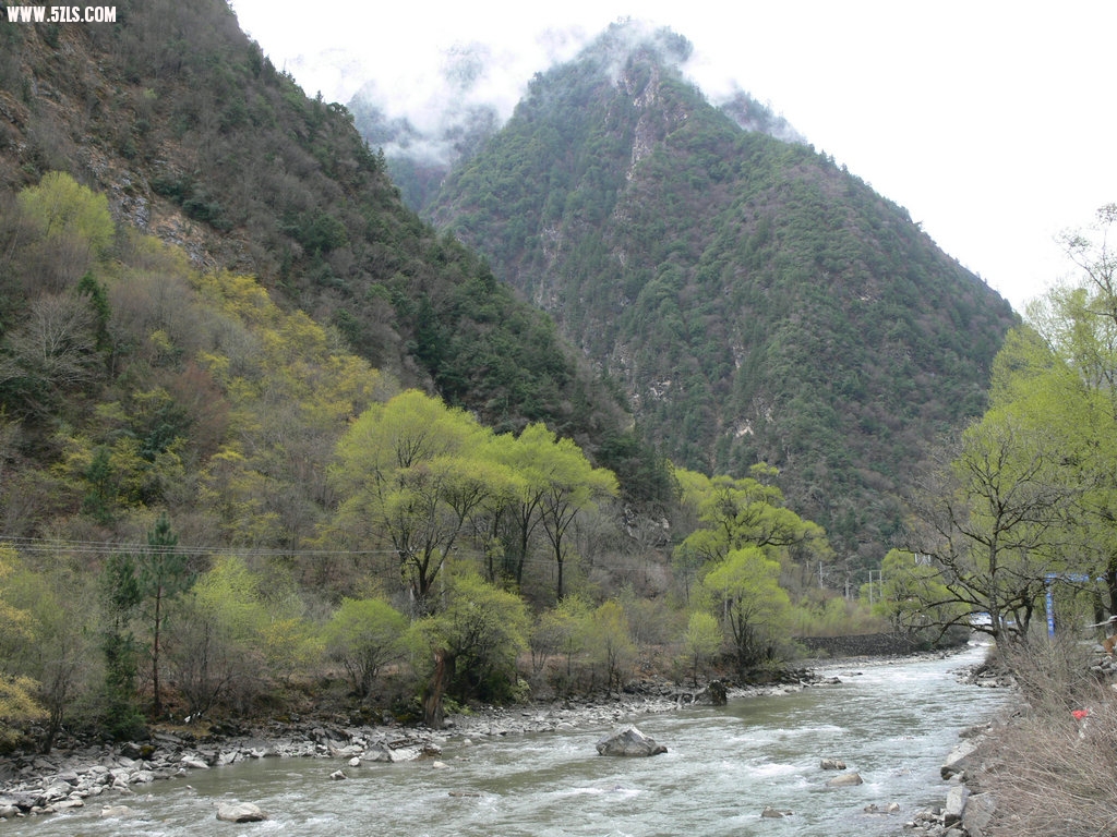P1120776.jpg