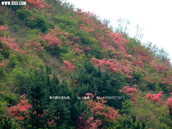 DSCF3575.JPG