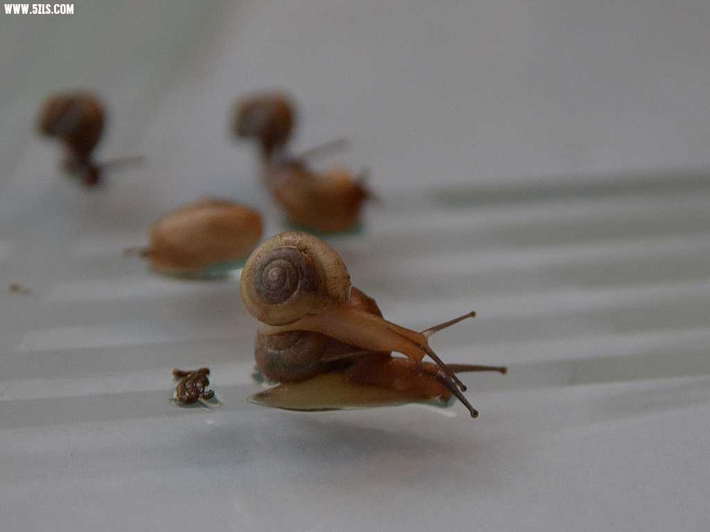 ţ8.jpg