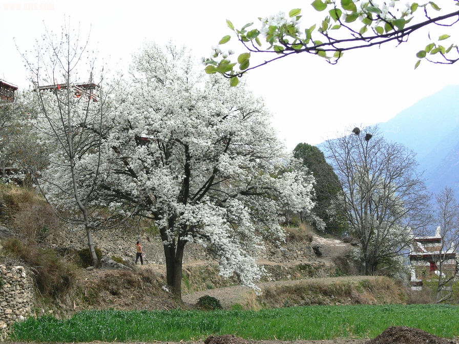 P1120412_.jpg